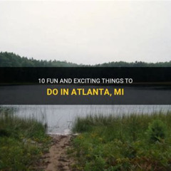 Best Things To Do In Atlanta Mi Tours Reviews