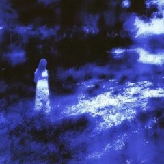velours - lilacs (slowed)