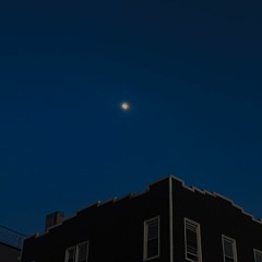 Royel Otis - Linger (Flip)