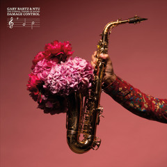 In Search of My Heart / Love Surrounds Us Everywhere (feat. Kamasi Washington, Terrace Martin & Nile Rodgers)