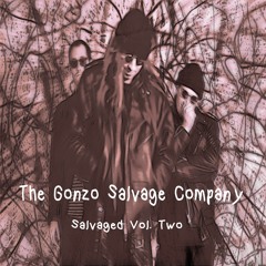 Positively Wonderful - The Gonzo Salvage Company