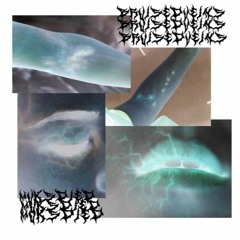 MUKSDIED - BruisedVeins (spite flip)