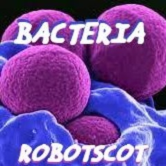 Bacteria