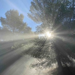 SPECIAL SET ABRIL (In The Dark) 2025.