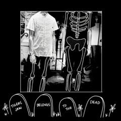 Tigers Jaw - Danielson (Old Version)