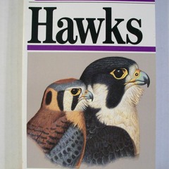 Read ebook [PDF]  A Field Guide to Hawks: North America (Peterson Field Guide Se