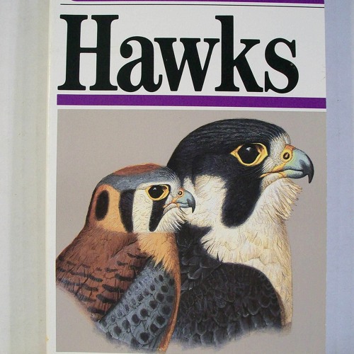 Read ebook [PDF]  A Field Guide to Hawks: North America (Peterson Field Guide Se