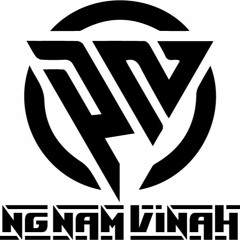 Lý Do Là Gì - Phuong Nam Mix