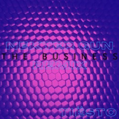 Tiesto, Ty Dolla $ign- The Business (NEKTER GUN Remix)