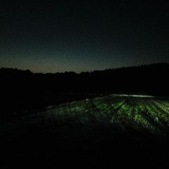 Log_20250430（demo）