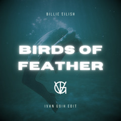Birds Of A Feather (IVAN GUIH EDIT)preview- filtered due to copyright - click BUY for free download