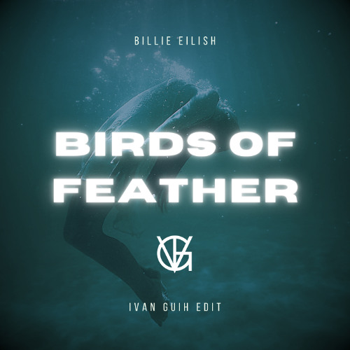 Birds Of A Feather (IVAN GUIH EDIT)preview- filtered due to copyright - click BUY for free download
