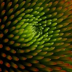 The Problem Is I Thought