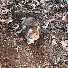 my fav color isn't red its dope dope dope