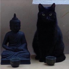 Nyzhere - The Journey