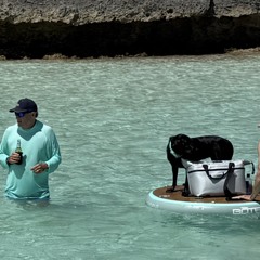 Salt love and emotion.mp3