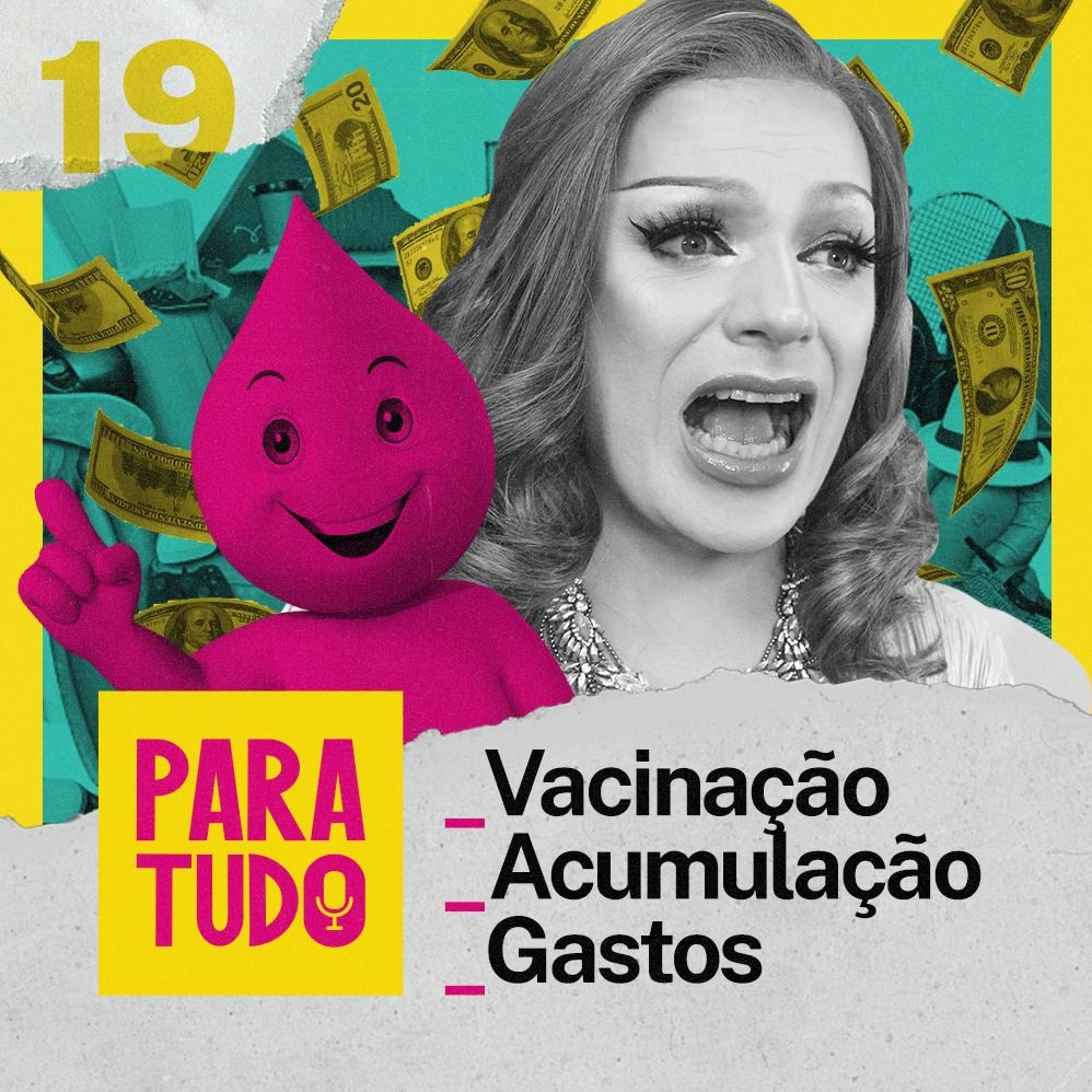 #19 Compras Inúteis, Cartão de Vacina e Bagunça