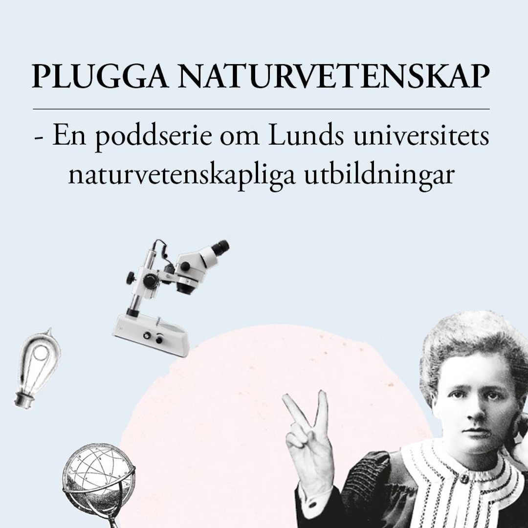 Plugga Naturvetenskap - Utlandsstudier