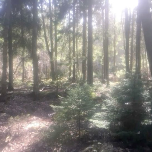 salad fingers p. kay4l