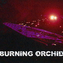 Burning Orchid