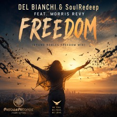 Freedom (Bruno Robles Remix)