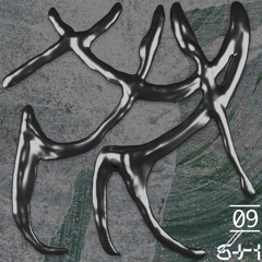 SI009 - PETER REHBERG