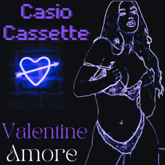 CASIO CASSETTE