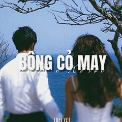 Bông Cỏ May (Lofi)