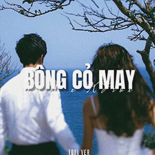 Bông Cỏ May (Lofi)
