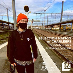 🚂 𝗥𝗜𝗩𝗜𝗘𝗥𝗔 𝗘𝗫𝗣𝗥𝗘𝗦𝗦 - Voyage en Hongrie (16.12.20)- RADIO SOFA