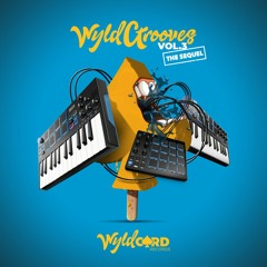 Please Please (Original Mix) Snippet :: OUT NOW!!! On WyldCard Records