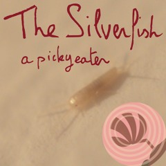 The silverfish, a picky eater