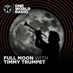 Full Moon with Timmy Trumpet #22
