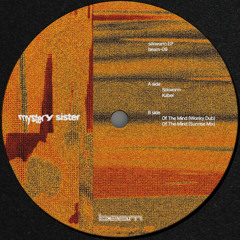 mystery sister – Silkworm EP [BEAM-09]