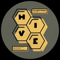 PREMIERE: The Velvet Stripes - A Great Night [Hive Label]