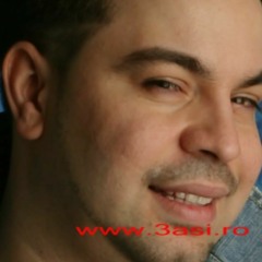 FLORIN SALAM - MI-E DOR DE PRIVIREA TA.mp3