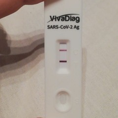 szar a palacsintában