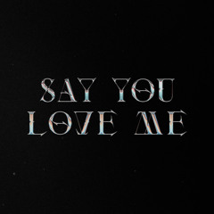 Say You Love Me