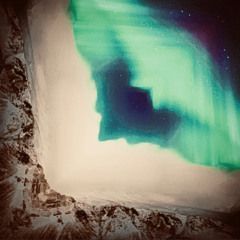 wind dance with a rose