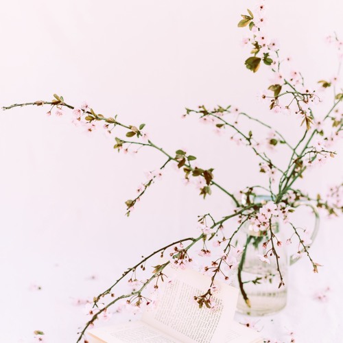 Konnichiwa! (Creative Commons&Free Download)