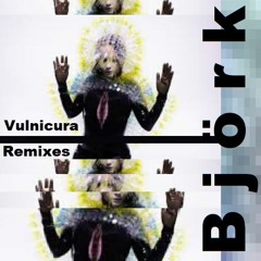 Björk 'Vulnicura Remixes' - Mixed By Borby Norton (Link On Description)