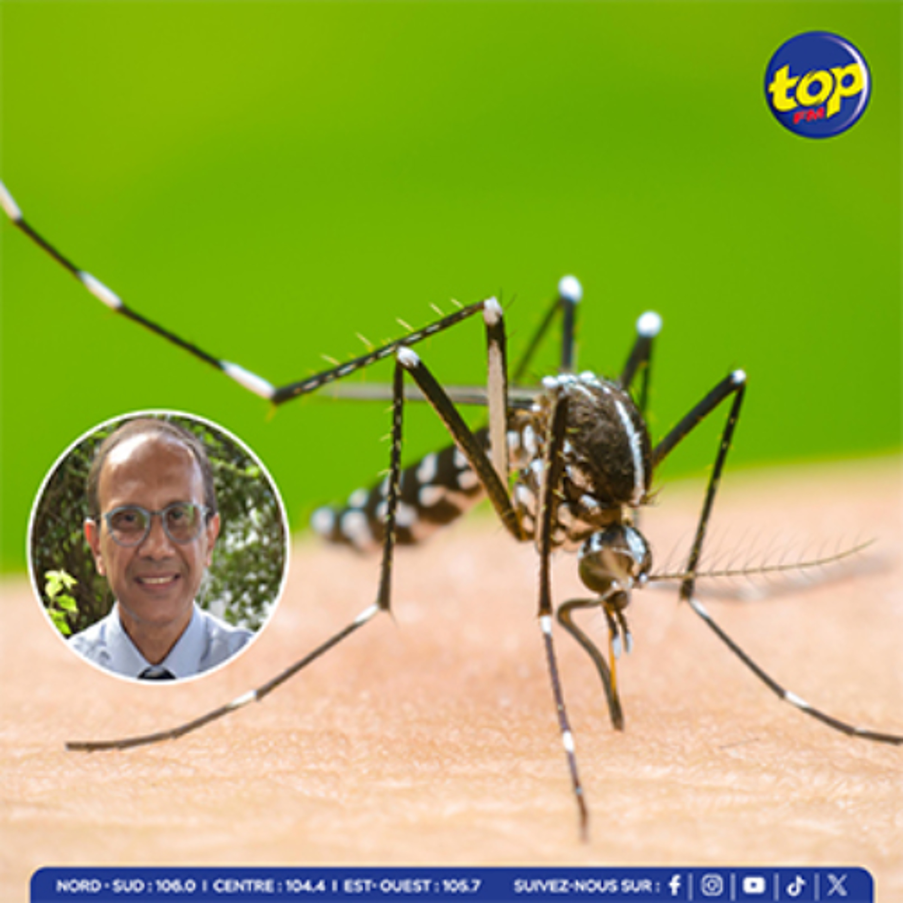Dengue : un deuxième cas détecté