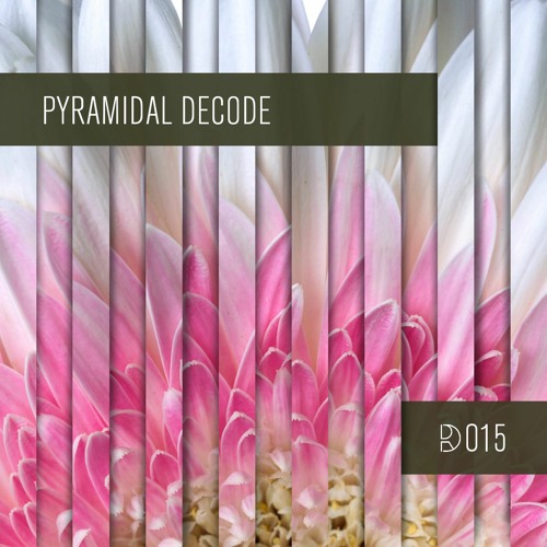 Dynamic Reflection Podcast Series 015: Pyramidal Decode