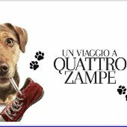 Stream A Dog s Way Home 2019 FullMovie Online at