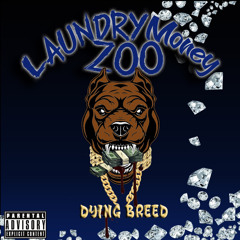 🔥Trappas Life🔥