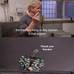 GorDON loves rollers