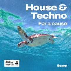Summer Vibes ☀️ House Music Mix | Soave Soundwaves x WWF
