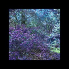 popitoff! (prod. whiteravenn)