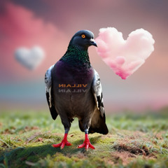 Pigeons