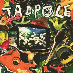 Tadpole
